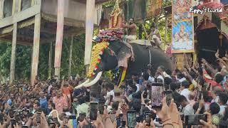 Thrikkadavoor Sivaraju mass entry @ Thirunakkara