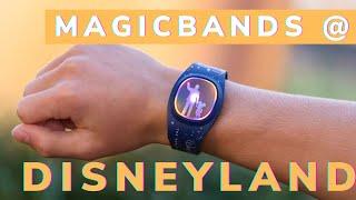 What Do MagicBands Do at Disneyland?