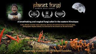 Planet Fungi safari in remote northeast India