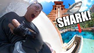 I WENT ON EVERY WATER SLIDE AT THE ATLANTIS AQUAVENTURE Leap of Faith Into Shark Tank