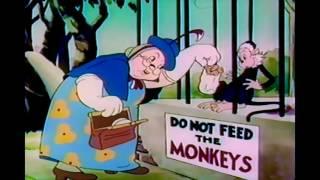 Do Not Feed The Monkeys