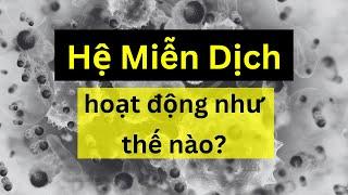 Hệ Miễn Dịch - Sinh Học - tập 32  Tri thức nhân loại