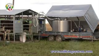 Pasture based milking systems