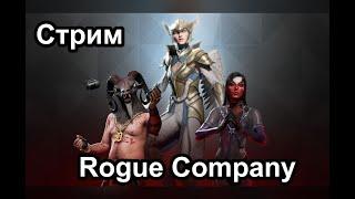 Rogue Company. Кастомки