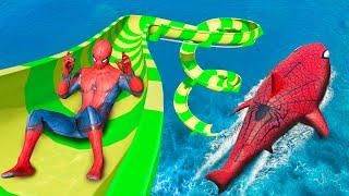 GTA 5 Water Slides  Spider-Shark vs SPIDERMAN JumpsFails Ragdolls & Funny Moments