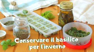 COME CONSERVARE IL BASILICO FRESCO PER LINVERNO  how to store basil for the winter