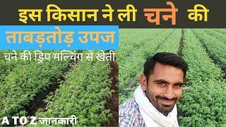 चने की खेती  Chane ki kheti  Chickpeasgram farming in India  A to Z jankari  #farmingtechnique