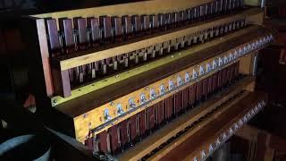 The restored Xylophone on the Worlds largest pipe organ