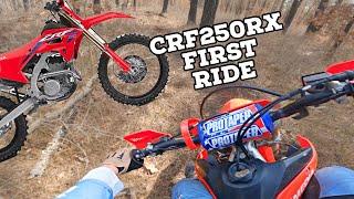 CRF250RX FIRST RIDE  POV Woods Shredding