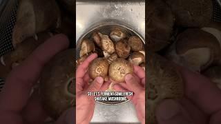 Can you ferment mushrooms?