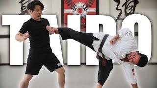 This Martial Art System Has CRAZY Kicks