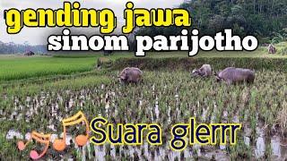 GENDING JAMPI SAYAH gamelan jawa sinom parijotho