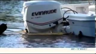 Evinrude 150 VS Yamaha 150