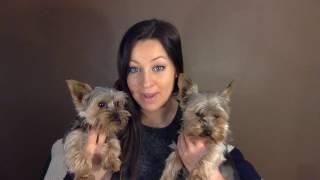 Ashley Leggat  Pregnancy Video Diary - Week 26