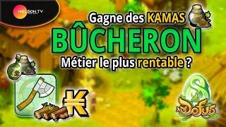 DOFUS - Gagne des KAMAS avec le métier de BÛCHERON  Le métier le plus rentable ?  Guide 2025