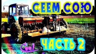 Трактор Беларус 920 ЗЕРНОВАЯ СЕЯЛКА ПОСЕВ СОИ #vseklevo #синийтрактор трактор настоящий