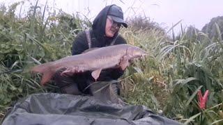 Barbel fishing in heavy rain thunder and lightning 6-7-25 #fishing #PDAA #anglingconnection