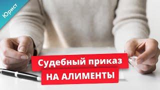 Судебный приказ на Алименты. Как и куда подать заявление? как написать заявление? Образец заявления.