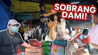 BUMISITA SA RESCUED DOGS AND CATS PARA SA PET LOVERS 12 Days of Christmas S4EP6