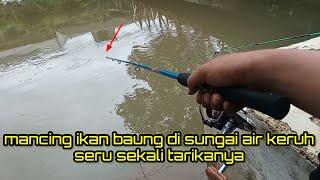 mancing ikan baung di air keruh #mancing          23 Januari 2024