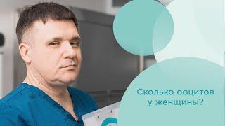 Сколько ооцитов у женщины? Общее количество яйцеклеток у женщин #яйцеклетка