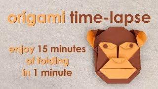 Origami Time-Lapse Monkey Head Robin Glynn