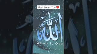 Allah Loves You ️ #shorts #Allah #youtubeshorts #tiktok