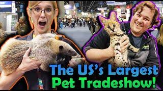 We went to the Global Pet Expo