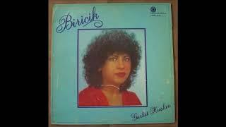 Biricik  - Gurbet Kuşları  Gurbet  Kuşları LP 