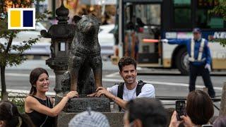 Japans ever-faithful dog Hachiko turns 100