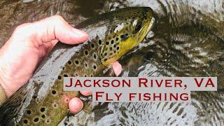 Jackson River VA Fly Fishing