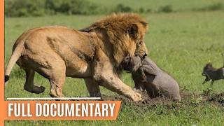 Explore the Clash of the Titans - Lions vs. Hyenas a Fight for Territory  Full Documentary