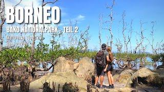 Borneo - Bako Nationalpark Teil 2  Malaysia • Weltreise Vlog 125