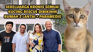 KELUARGA KRONIS KUCING RESCUE DIBIKININ RUMAH GEDONG PLUS PARAMEDIS 24 JAM