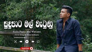 Sudu Paata Mal Watunu සුදු පාට මල් වැටුණු  Cover Song by Nisal Sathsara