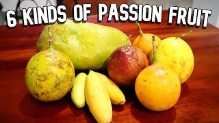 PASSION FRUITS COMPARED Giant Granadilla Banana Passion Fruit Maracuya - Weird Fruit Explorer