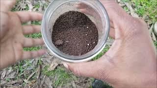I stopped using worm bins to make worm castings