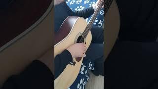 Хорошая недорогая акустическая гитара CORT EARTH70-OP #music #shortvideo #short
