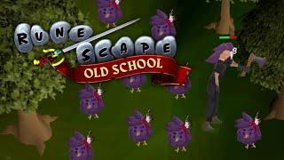 【Old School RuneScape】A BLAST TO THE PAST ITS ADVENTURE TIME HAKKITOS ‍️