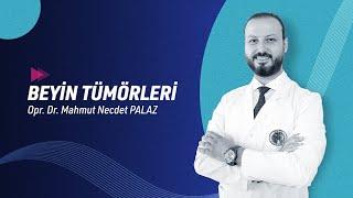 Opr. Dr. Mahmut Necdet Palaz Beyin Tümörleri Hakkında Sorularınızı Yanıtlıyor