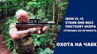 Стрельба на кучность и охота на чаек из Ibon vl 12  Strike ONE B023 и Пистолета искра  пневматика