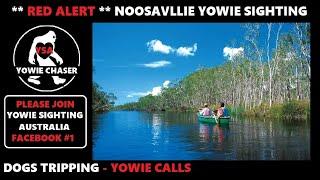 ** RED ALERT **  NOOSAVILLE YOWIE SIGHTINGS #1391