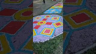 Meravigliosa infiorata di SantElia - Nuragus 2023 #flowers #tradition #church #short #videoclip