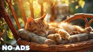 12 Hours Of Music For Cat to Fall Into Deep SleepStress Relief Heal Stress For Cat Soothing Piano