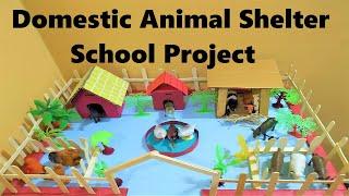 domestic animal shelter model   DIY   howtofunda  diy craft at home  still model