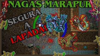 TIBIA EK 788 NAGAS DE MARAPUR  6.7KKH RAW + 1.1KK PROFIT