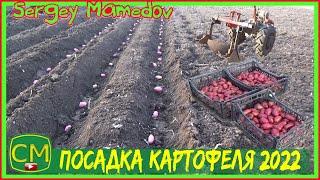 Посадка картофеля 2022 26 Марта  часть 1