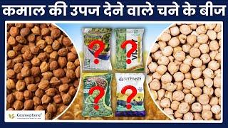 चना की अधिक पैदावार वाली उन्नत किस्मे - Gram Seeds Variety for High Yield