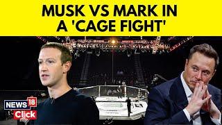 Elon Musk vs Mark Zuckerberg  Elon Musk Challenges Zuckerberg For A Cage Fight  English News