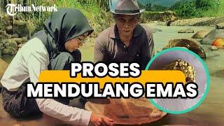 JALAN-JALAN  Mengintip Cara Tradisional Mendulang Emas Bertahan Hidup dari Derasnya Arus Sungai